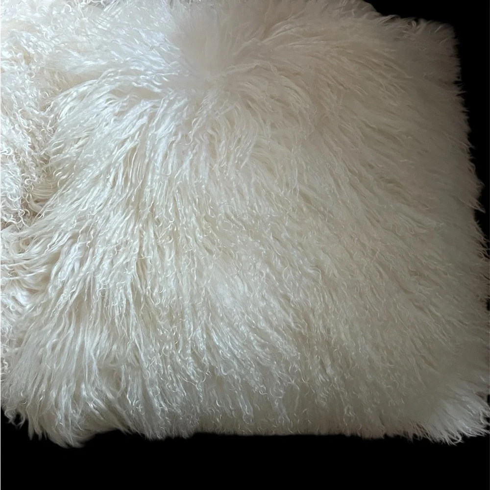 West Elm Cream Accent Pillows